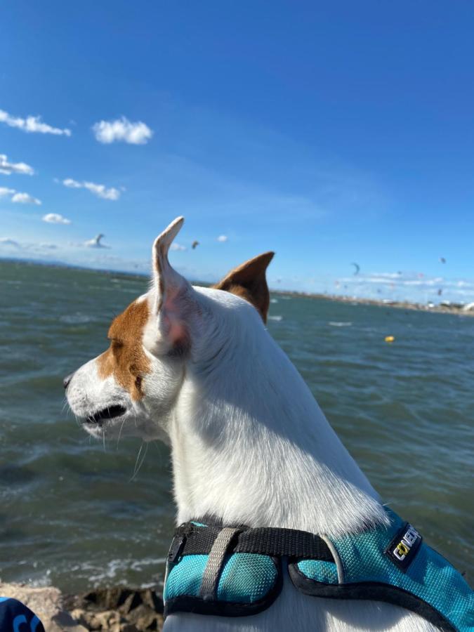 Port Camargue Studio Vue Mer لو غراو دو روا المظهر الخارجي الصورة