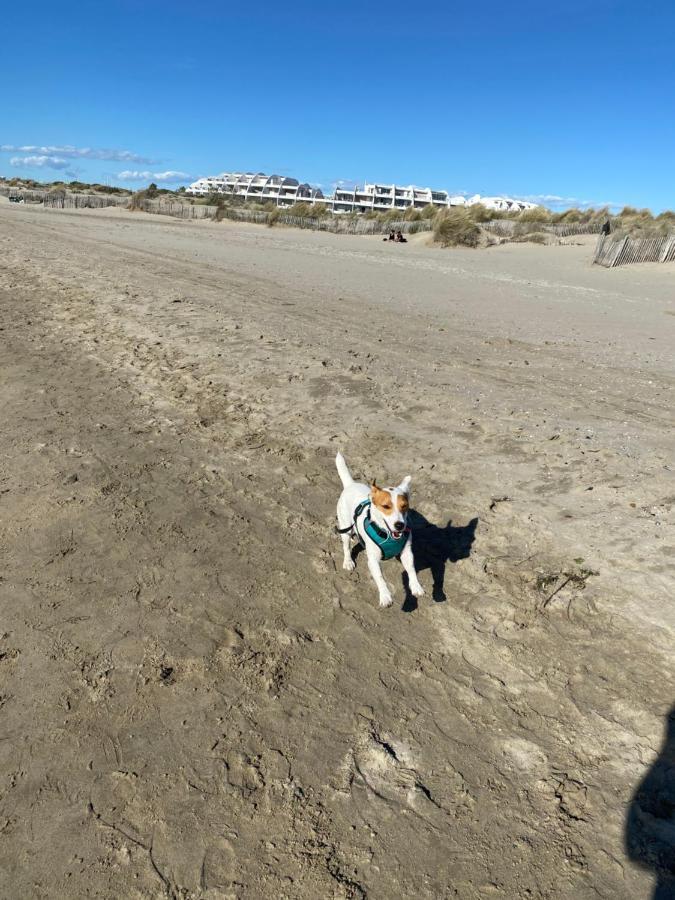 Port Camargue Studio Vue Mer لو غراو دو روا المظهر الخارجي الصورة